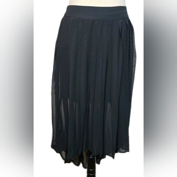 BLVD Dresses & Skirts - 320. Elegant Black Pleated Sheer Skirt Hi Lo